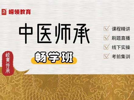 中医师承一对一畅学班