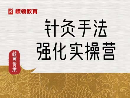 针灸手法速效强化实操营