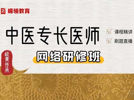 中医新专长医师网络研修班